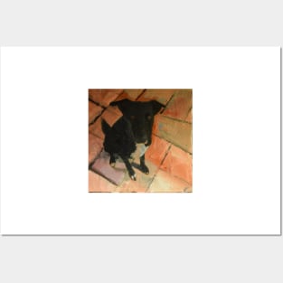 Black Dog On Tiled Floor Posters and Art